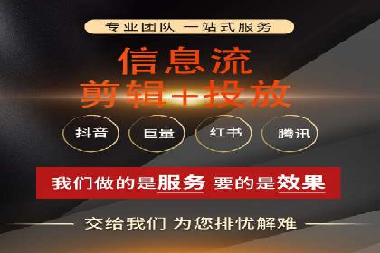 某知名企业SEM营销全案解析